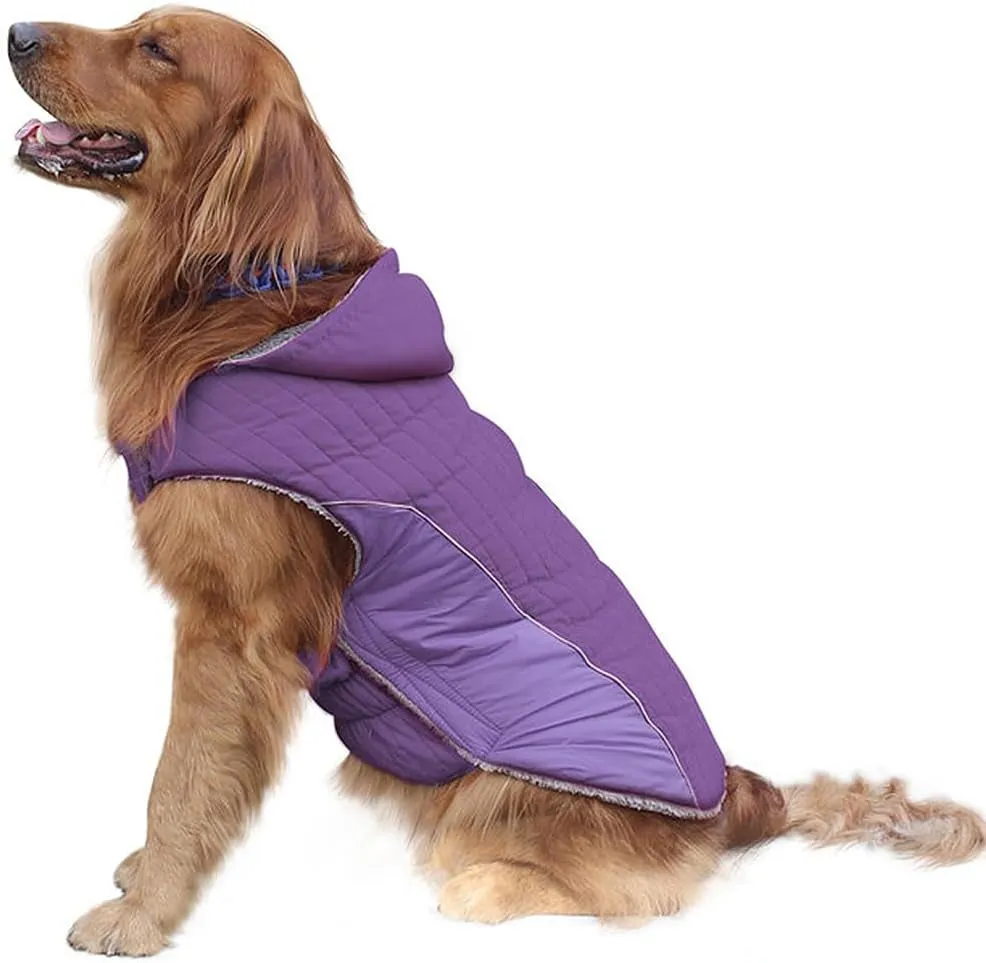 Dog Jackets for Winte