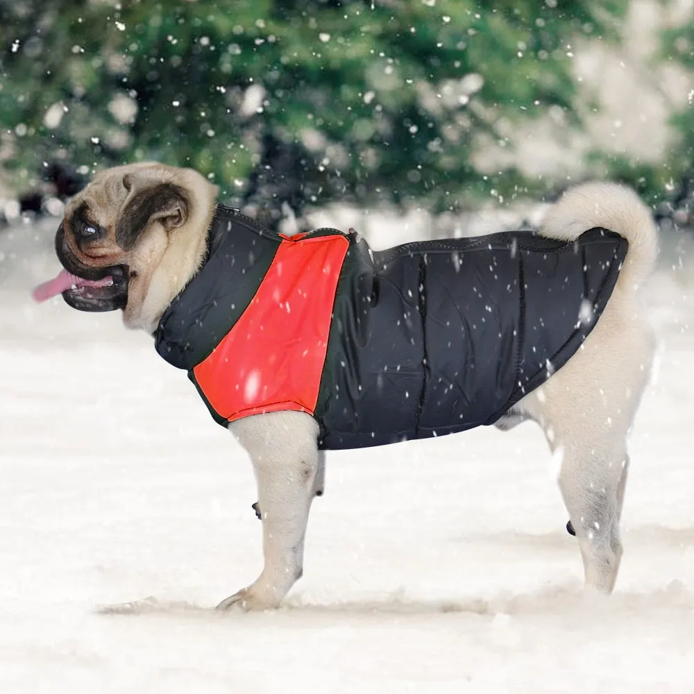 Funki Buys | Dog Jackets | Warm Padded Waterproof Dog Vests