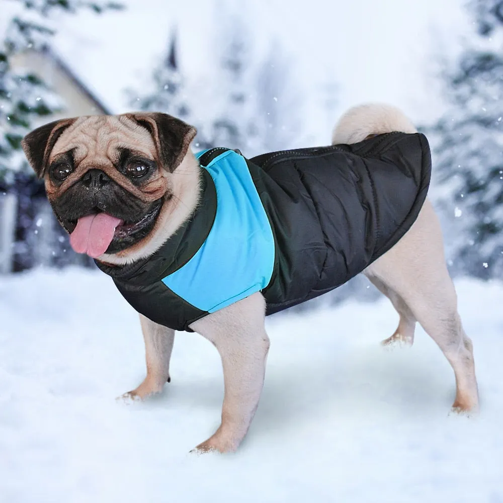 Funki Buys | Dog Jackets | Winter Warm Dog Coat | Padded Vest