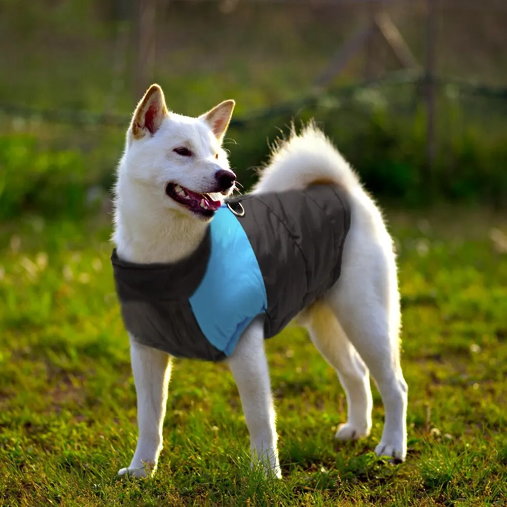 Funki Buys | Dog Jackets | Winter Warm Dog Coat | Padded Vest